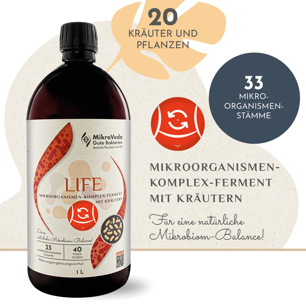 MikroVeda LIFE Bio Mikroorganismen Komplex Kräuterferment