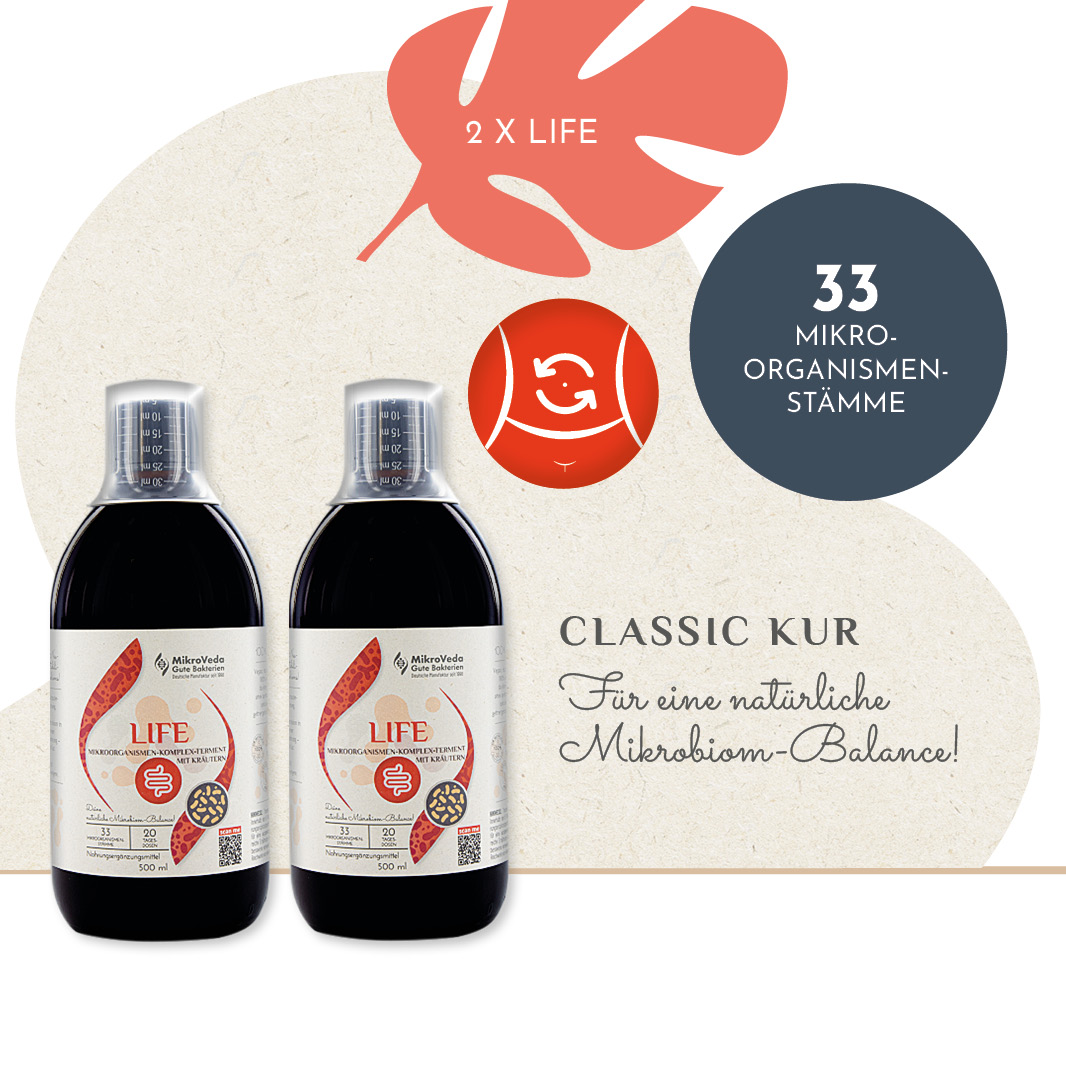 MikroVeda DARM AUFBAU KUR - CLASSIC DE-ÖKO-037