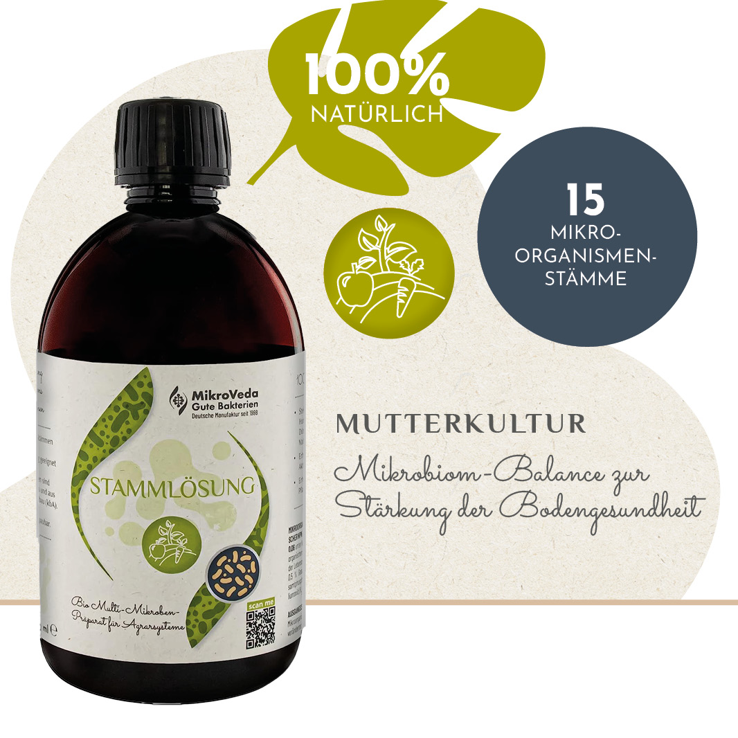 MikroVeda Bio STAMMLÖSUNG 15er Mutterkultur 0,5 Liter R-PET Flasche (100% recycelt)